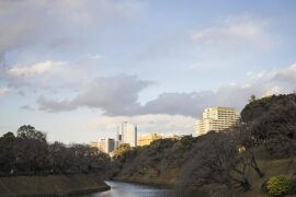 狡猾是贬义词吗？