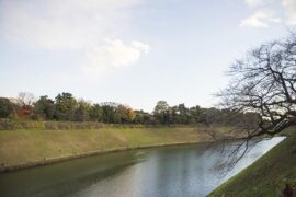 狡诈是贬义词吗？