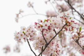 懒惰是贬义词吗？