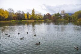 弄虚作假是贬义词吗？