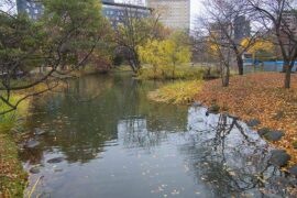 轻蔑是贬义词吗？