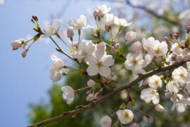 轻佻是贬义词吗？