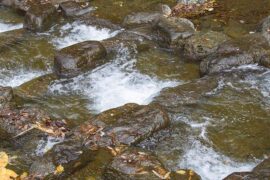 贪夫徇财是贬义词吗？