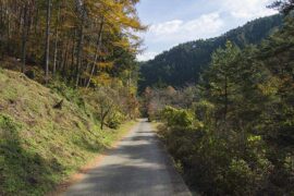 顽固是贬义词吗？