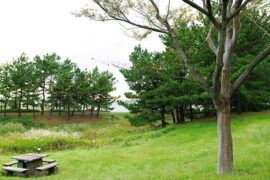 猥锁是贬义词吗？