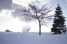 邪恶是贬义词吗？