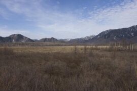 自负是贬义词吗？