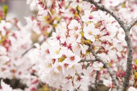 抑郁是贬义词吗？