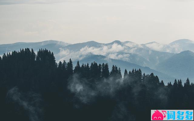 九死南荒吾不恨，兹游奇绝冠平生