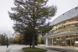 活在这珍贵的人间，太阳强烈，水波温柔