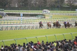 当你站在山顶的时候，你的头上还有星空