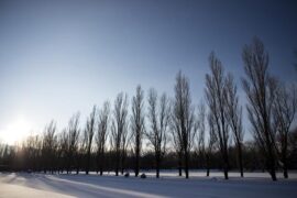 敢于背负自己理想的人，才能有机会成为别人理想中的人