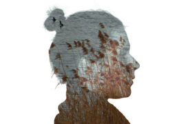 王维《洛阳女儿行》全文及鉴赏