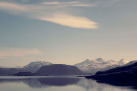 吴少微《古意·洛阳芳树向春开》全文及鉴赏