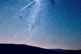 世界让我遍体鳞伤，但伤口长出的却是翅膀