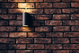 理论是灰色的，而生活之树常青