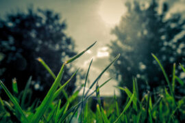 挨次的同义词有哪些？