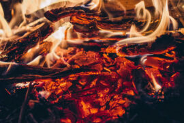 人民创造了历史，而且将继续创造