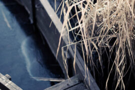 李白《三五七言》全文及鉴赏