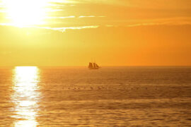 白居易《浪淘沙·借问江潮与海水》全文及鉴赏