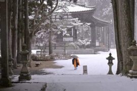 心静下来，才能感受美好生活