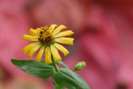 五一劳动节，幽默搞笑微信祝福语（20条）