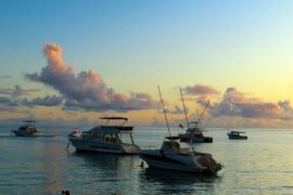 安不忘危的同义词有哪些？