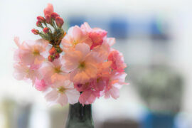 五四青年节的名言摘抄（精选30条）