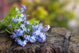 要紧的同义词有哪些？