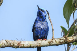 时间对于友谊的磨蚀，好比水流过石子，反把它洗琢得光洁了