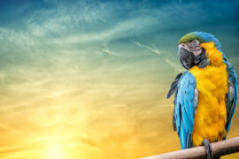 我们终将毁灭于自己所热爱的事物