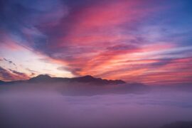 伍呆呆：世间不变是山海