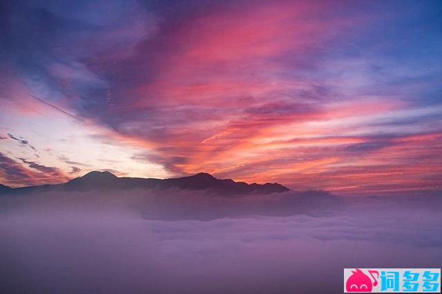 伍呆呆：世间不变是山海