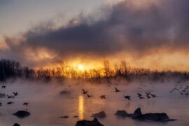 凛怎么组词？包含“凛”字的组词及成语大全