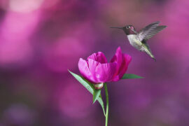 六一，儿童节促销活动标语