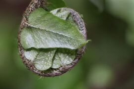 无所顾忌是褒义词吗？