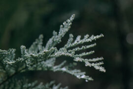 在每个死胡同的尽头，都有另一个维度的天空