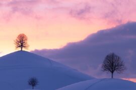 哥舒离垢《暮雪情》完整版歌词及赏析