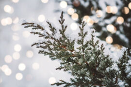 2023年关于母亲节的标语