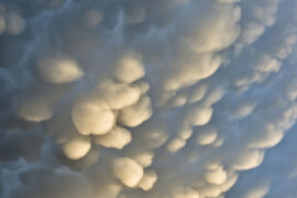 2023年优美的母亲节赞美语