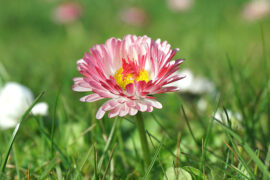 变动的近义词有哪些？