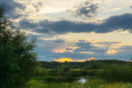 人生最大的智慧，就是享受当前的时刻并使它成为生命里永恒的目标