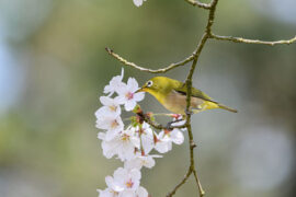 信仰是心中的绿洲，思想的骆驼队是永远走不到的