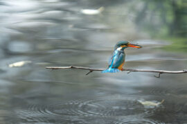 连篇累牍是贬义词吗？