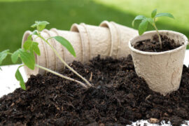 声色犬马是贬义词吗？