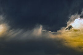 动粗的近义词有哪些？