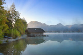 特长的反义词有哪些？