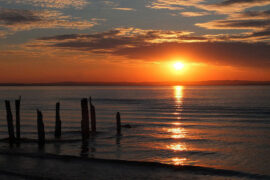 许多的反义词有哪些？