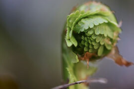 倒行逆施是贬义词吗？