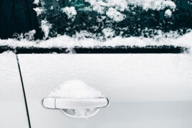 从此始感到成人的寂寞，更喜欢梦中道路的迷离